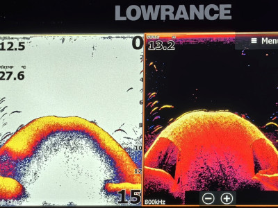 Vekos ryby na obrazovke sonaru