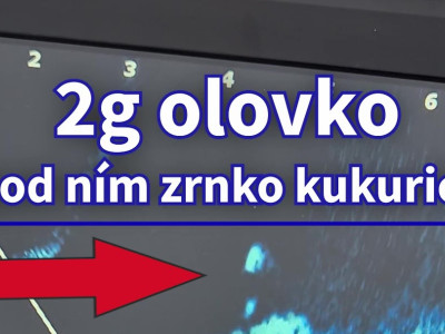 🏆 Neuveriten Citlivos Sonaru: Vidme Kad 2mm Peletu! 🤯 (Live Sonar Test)  #sonary  #live