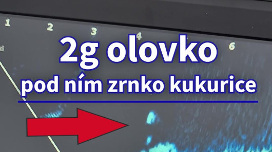 🏆 Neuveriten Citlivos Sonaru: Vidme Kad 2mm Peletu! 🤯 (Live Sonar Test)  #sonary  #live