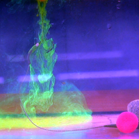 Lov kapra: Novinky Tandem Baits 2017 na sklade!