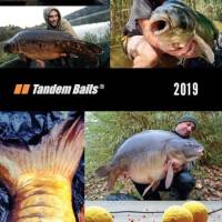 Nov� ryb�rske katal�gy 2019