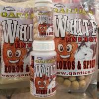 Nov� ar�my Qantica v ponuke