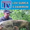 Lov sumca s Damirom (2)