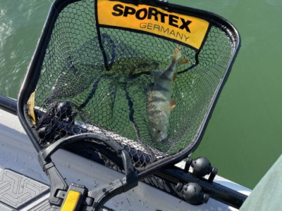 Sportex podberk do kadej rybrskej vbavy