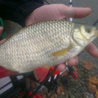 Krmivo na zimn� lov - krmivo do chladnej (studenej) vody