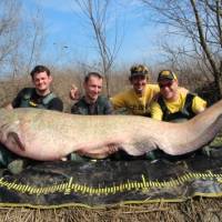 Magick� hranica 120kg pokoren� - Black Cat bol pri tom!