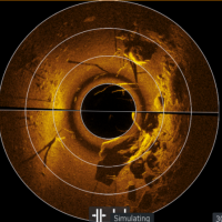 Novinka: Lowrance Ghost 360�