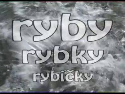 Televzna relcia o rybch a rybroch Ryby, rybky rybiky na pecializovanm televznym kanlom o love, rybolove, prrode a dobrodrustve - Fishing and Hunting!!!