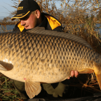 Novinky Sportex - nov� udice pre rok 2018