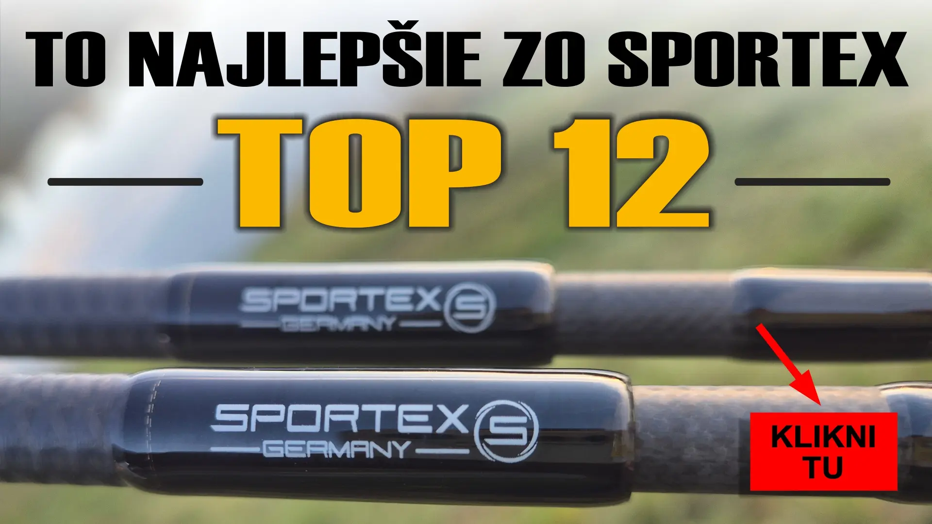 Sportex - TOP 12