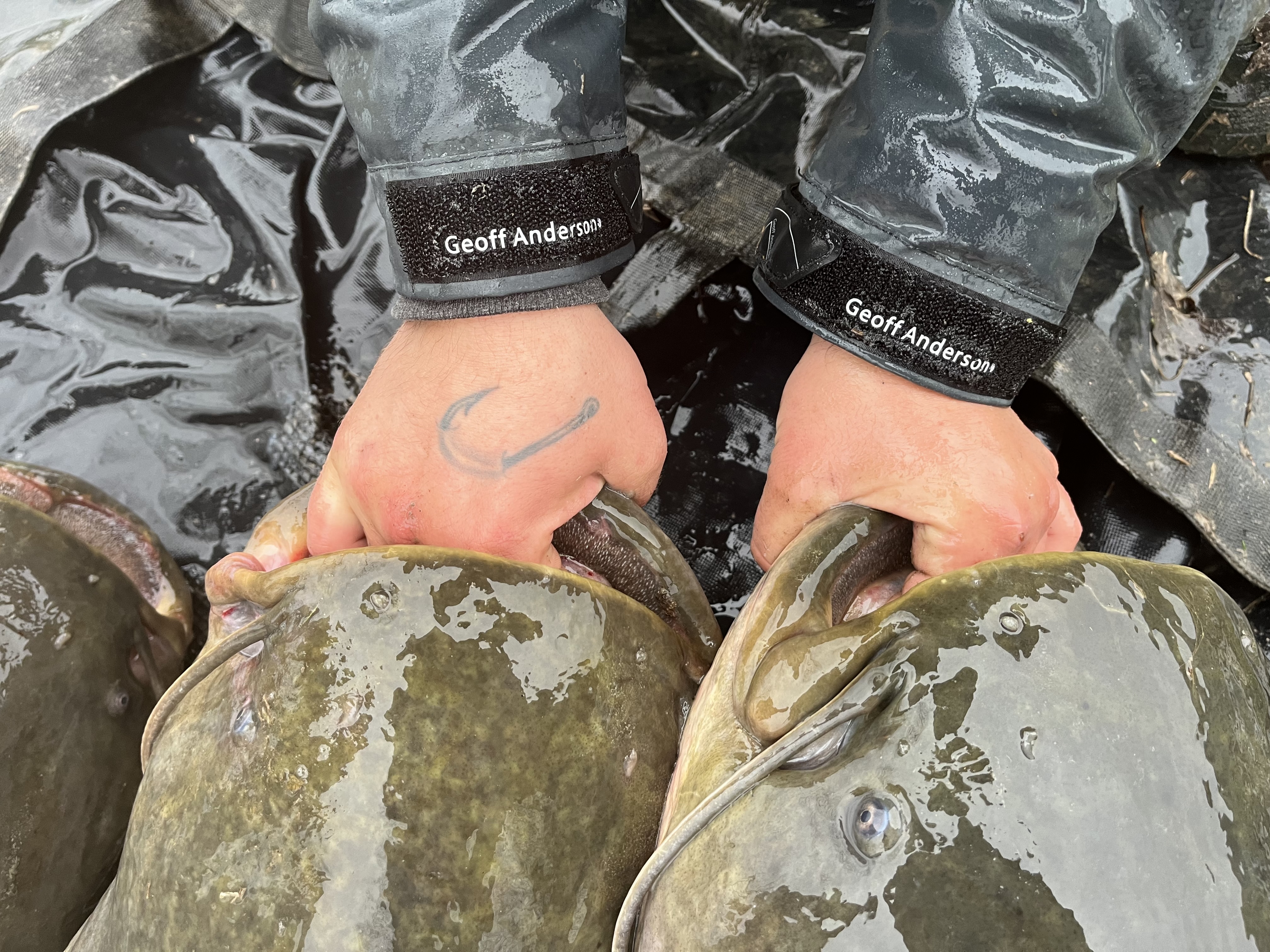 Dam�r Crla uloven� sumci v oble�en� Geoff Anderson ASIMI