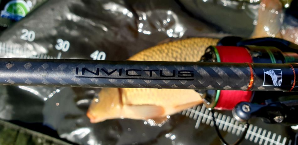 invictus carp