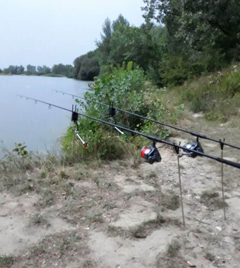 prty Sportex Competition Carp NT