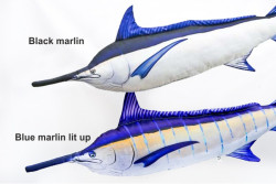 Dekoran vank Marlin 118cm