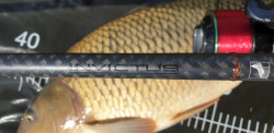 Kaprrske prty SPORTEX Invictus Carp- 2 diel