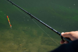 SPORTEX Rapid RS-2 Pellet Waggler pr�t v akcii