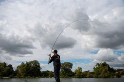 Ohyb pr�tu SPORTEX X-Act Trout RS-2 Sbiro pri nahadzovan�